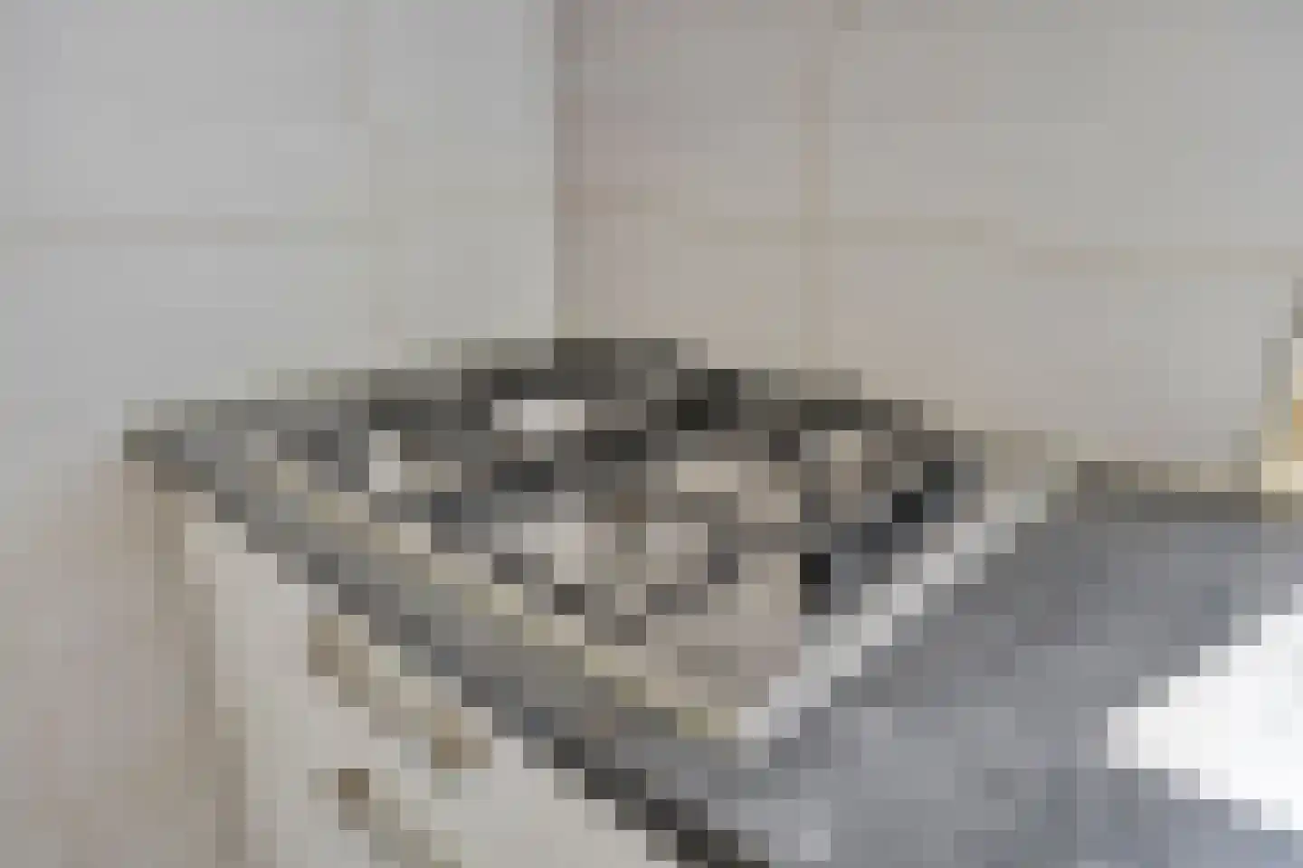 Van Berkumstraat 17 Tilburg thumbnail 11