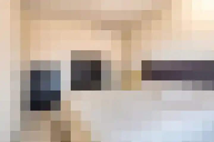 Van Berkumstraat 6 Tilburg thumbnail 16