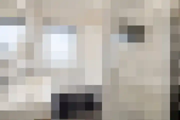 Van Berkumstraat 6 Tilburg thumbnail 17