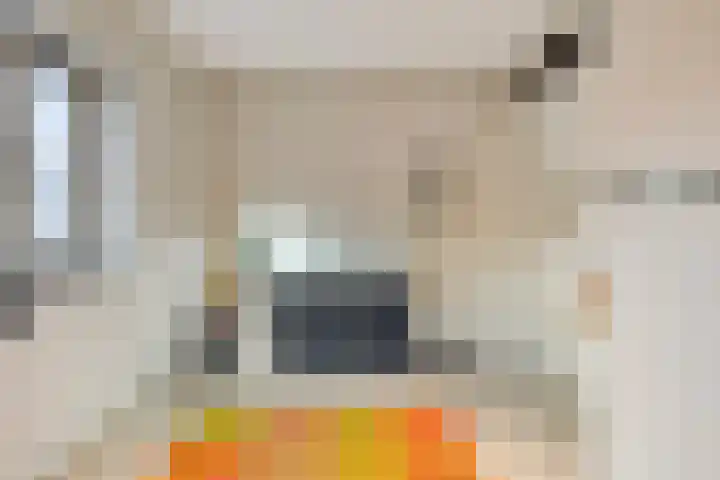 Van Berkumstraat 6 Tilburg thumbnail 20