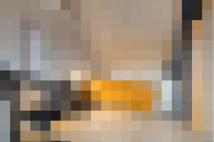 Van Berkumstraat 6 Tilburg thumbnail 25