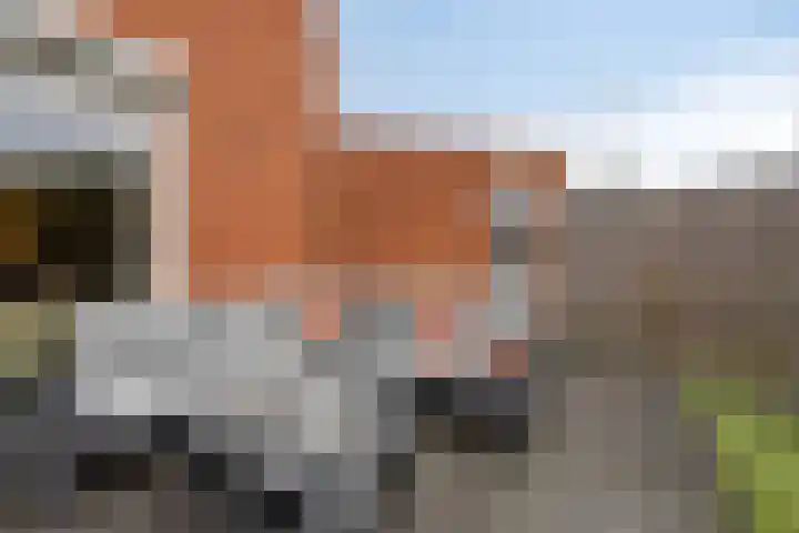 Van Berkumstraat 6 Tilburg thumbnail 29