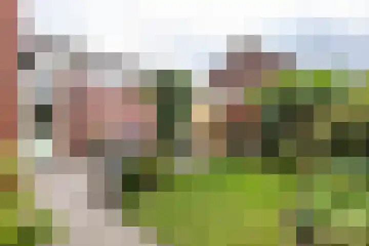 Van Berumstraat 1 Zuidwolde thumbnail 27