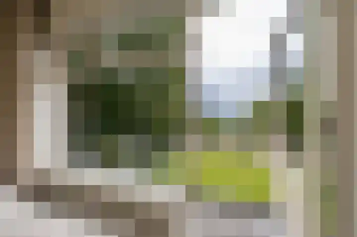Van Berumstraat 1 Zuidwolde thumbnail 4