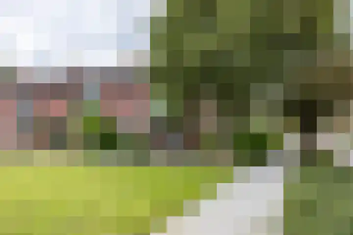 Van Berumstraat 1 Zuidwolde thumbnail 5