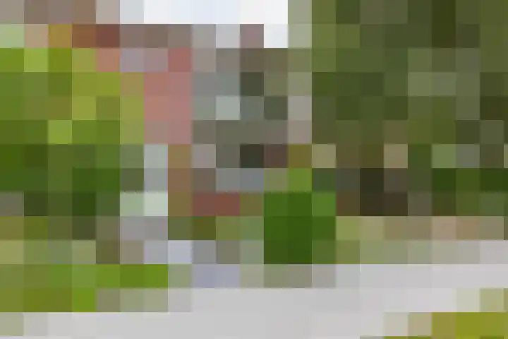 Van Berumstraat 1 Zuidwolde thumbnail 8