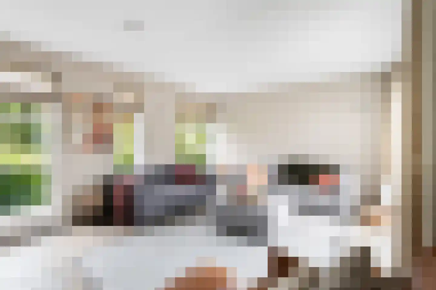 van Beuningenlaan 1 b Maarsbergen thumbnail 18