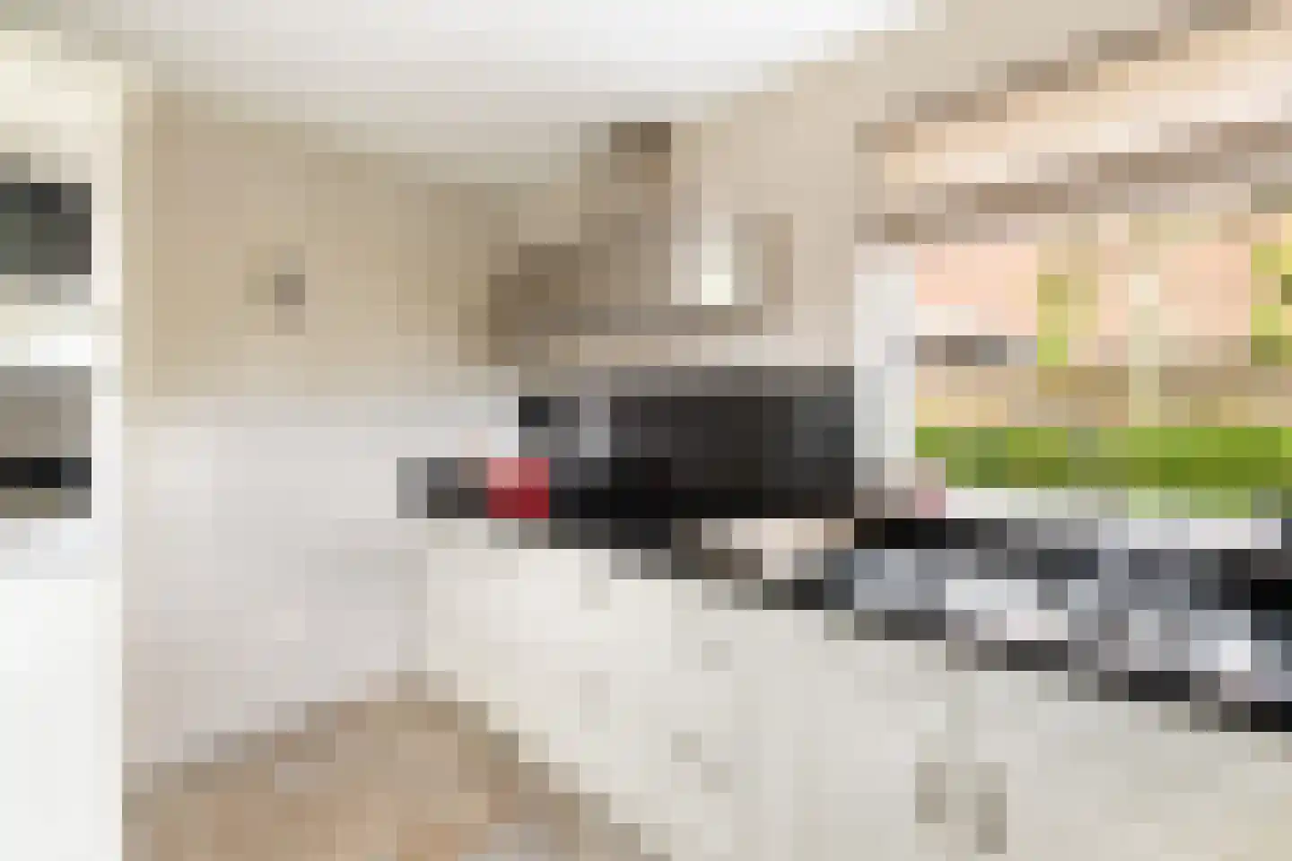 van Beuningenlaan 1 b Maarsbergen thumbnail 30
