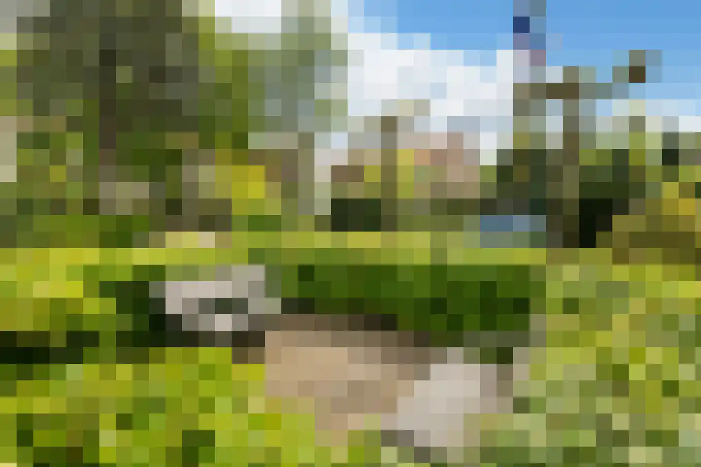 van Beuningenlaan 1 b Maarsbergen thumbnail 40