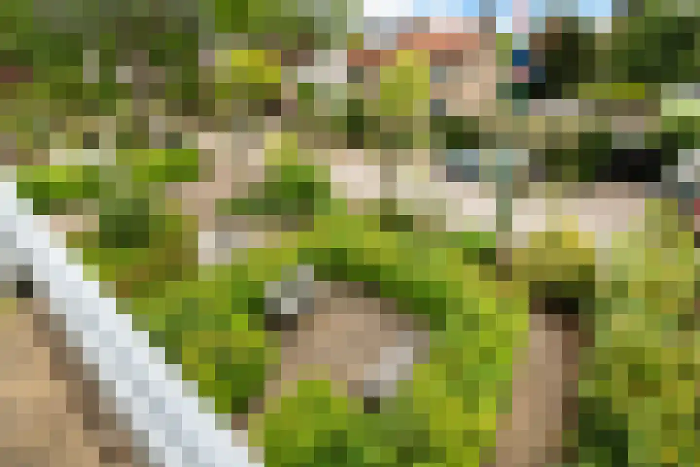 van Beuningenlaan 1 b Maarsbergen thumbnail 44