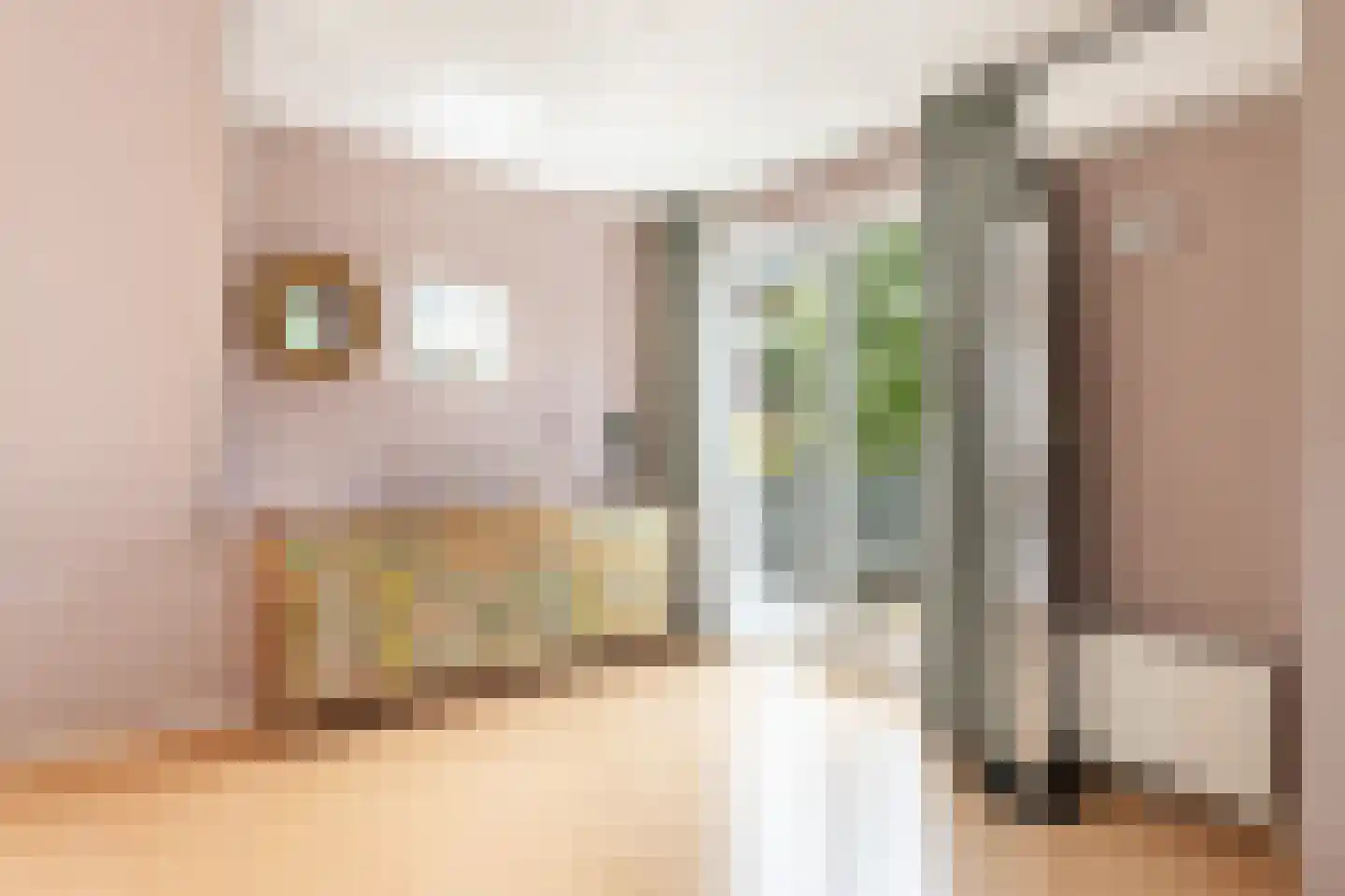 van Beuningenlaan 1 b Maarsbergen thumbnail 54