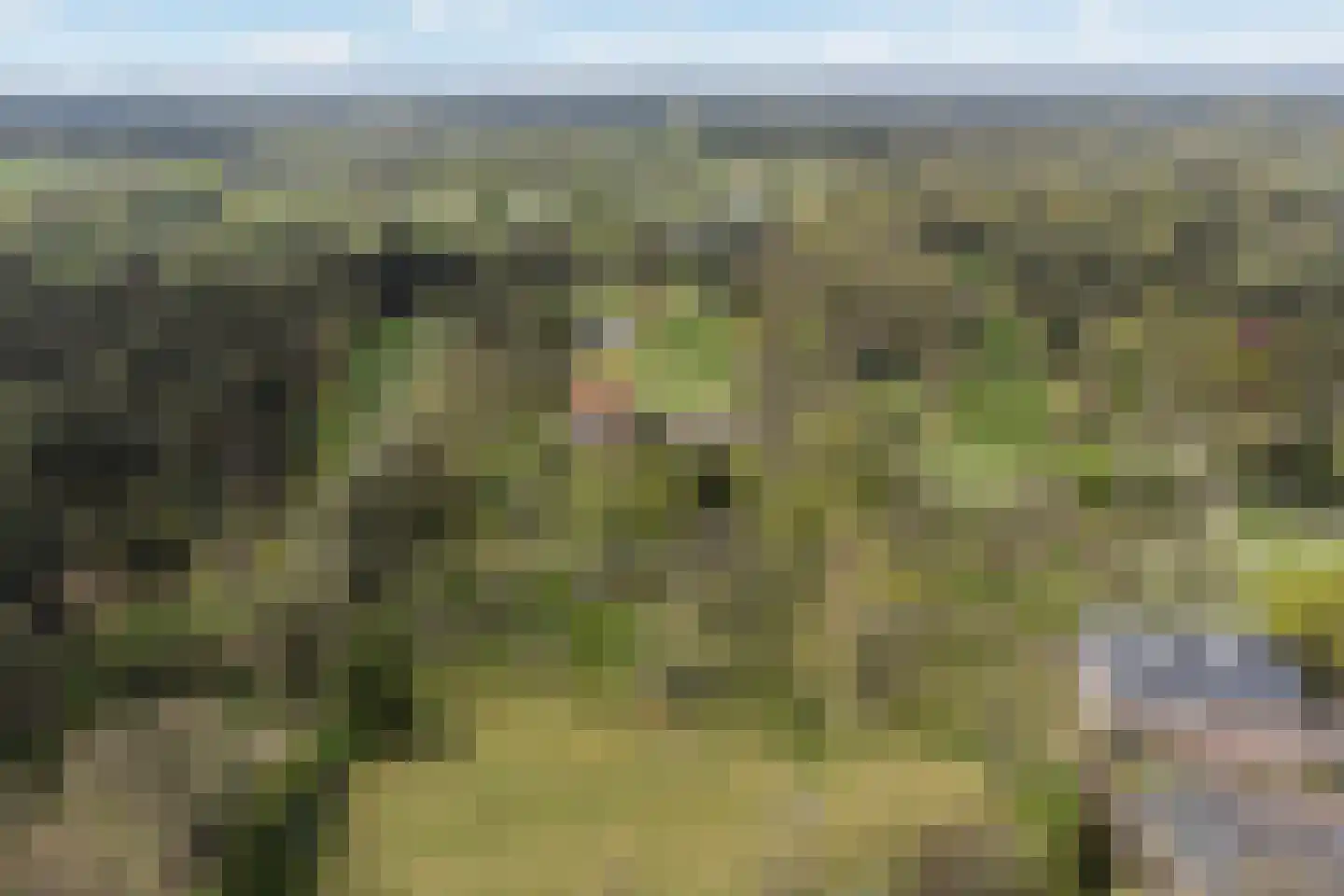 van Beuningenlaan 1 b Maarsbergen thumbnail 59