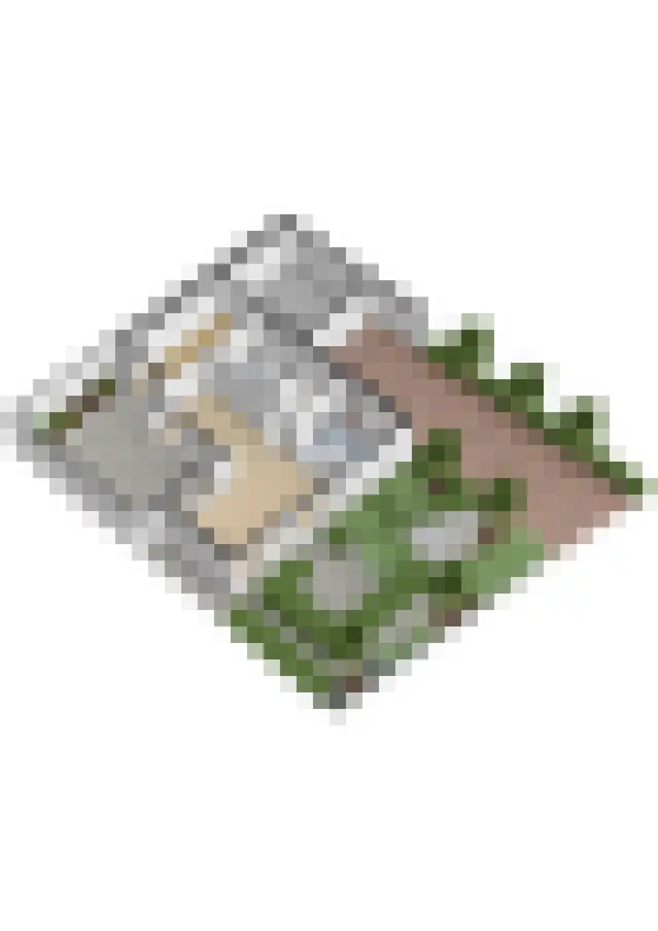 van Beuningenlaan 1 b Maarsbergen thumbnail 66