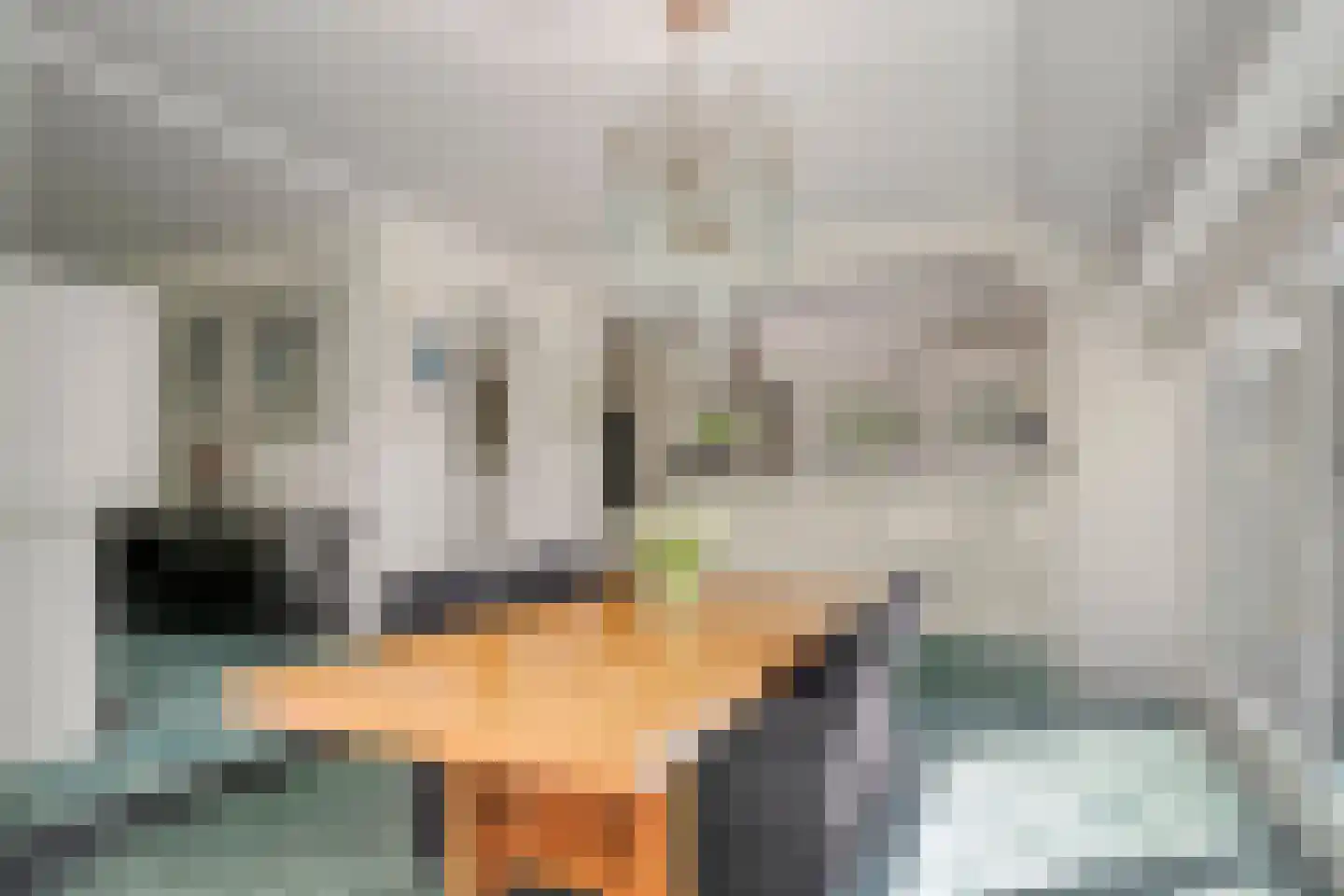 van Beuningenlaan 13 Soest thumbnail 13