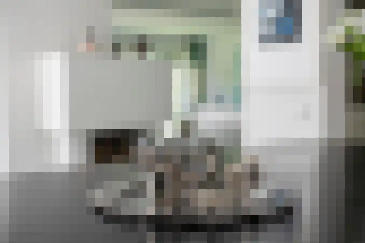 van Beuningenlaan 13 Soest thumbnail 20