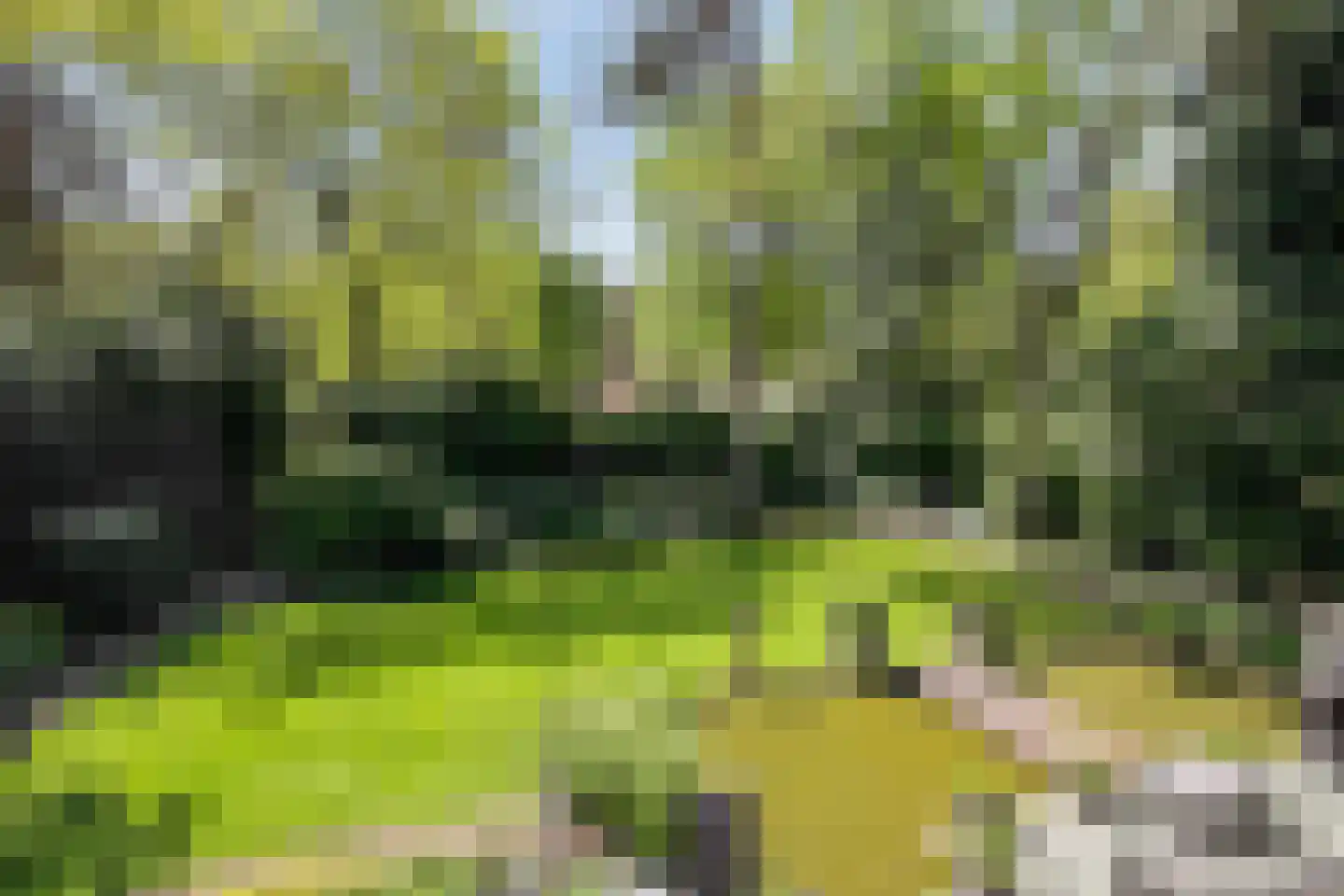 van Beuningenlaan 13 Soest thumbnail 59