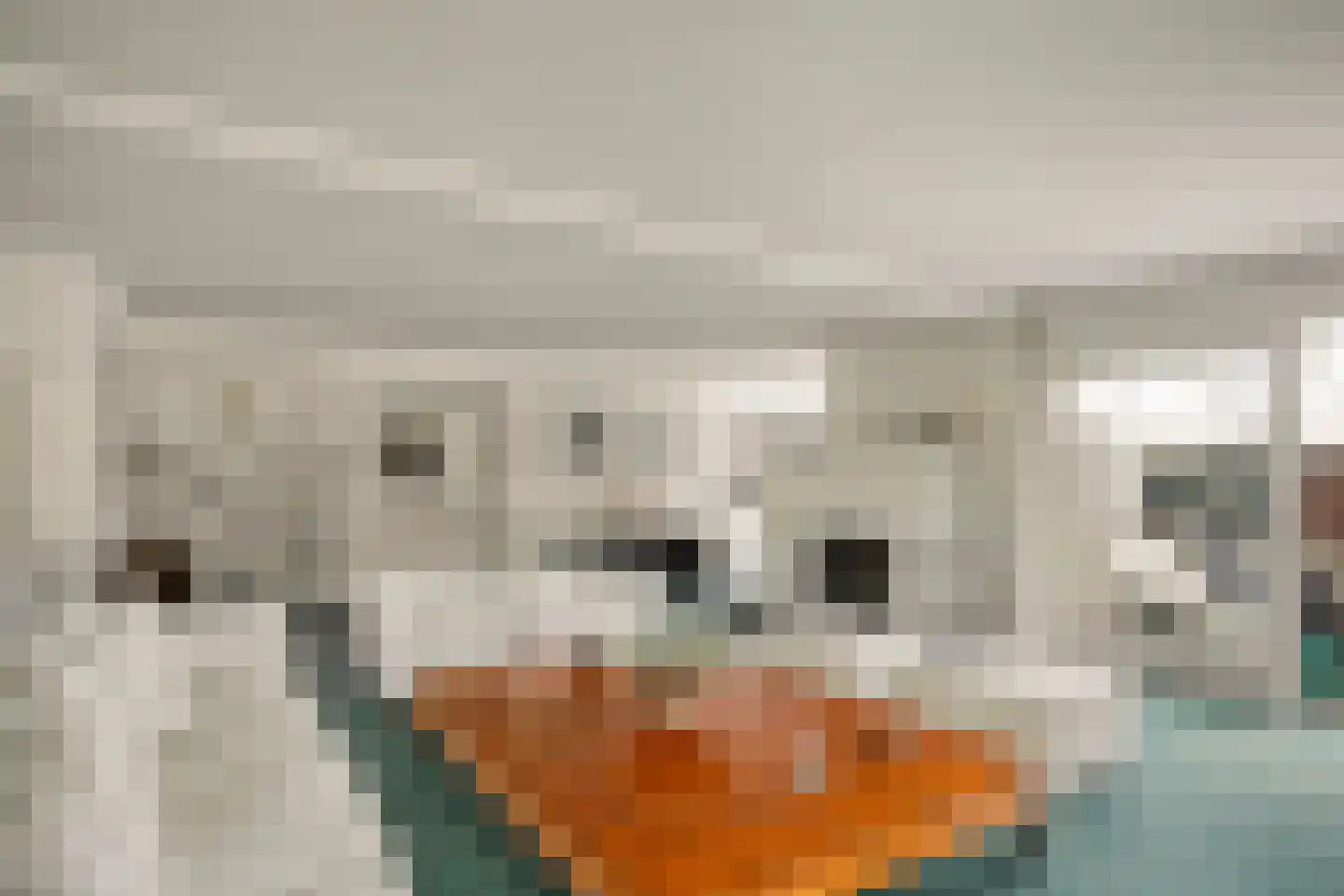 van Beuningenlaan 13 Soest thumbnail 6