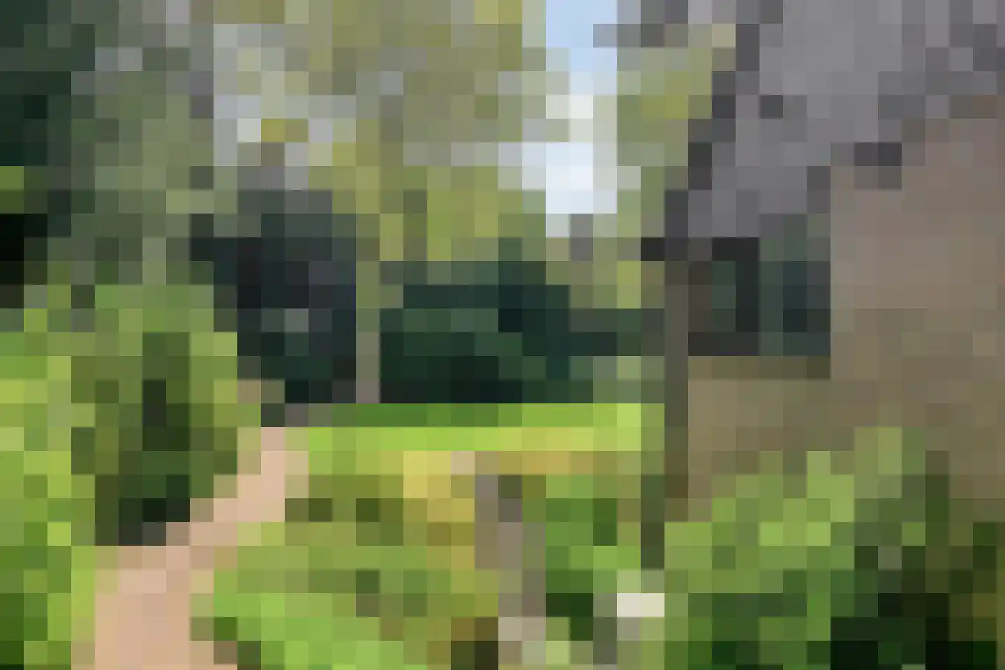 van Beuningenlaan 13 Soest thumbnail 60