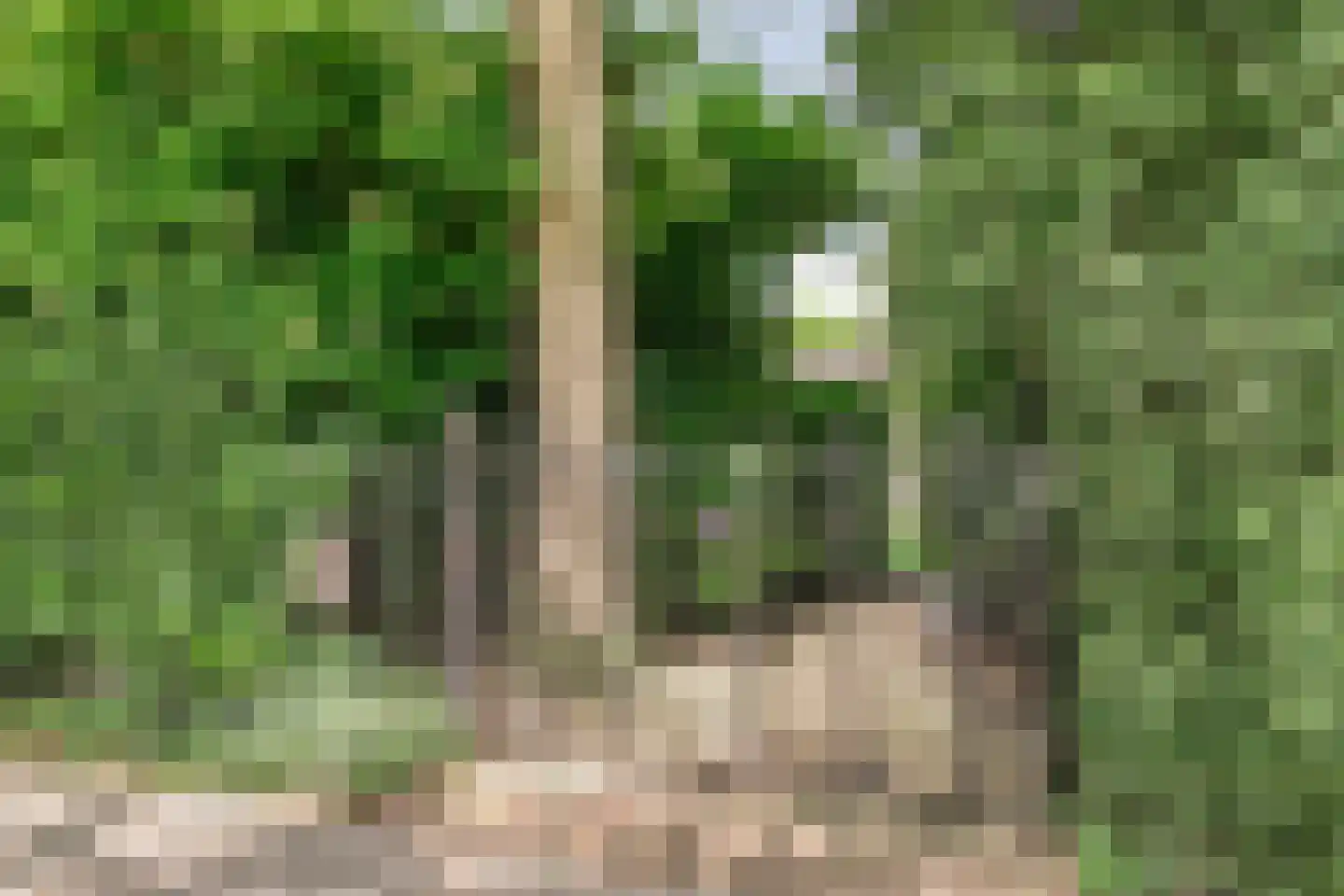 van Beuningenlaan 13 Soest thumbnail 62