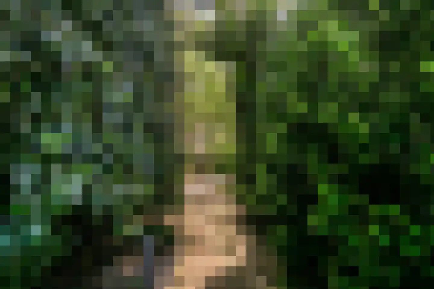 van Beuningenlaan 13 Soest thumbnail 63