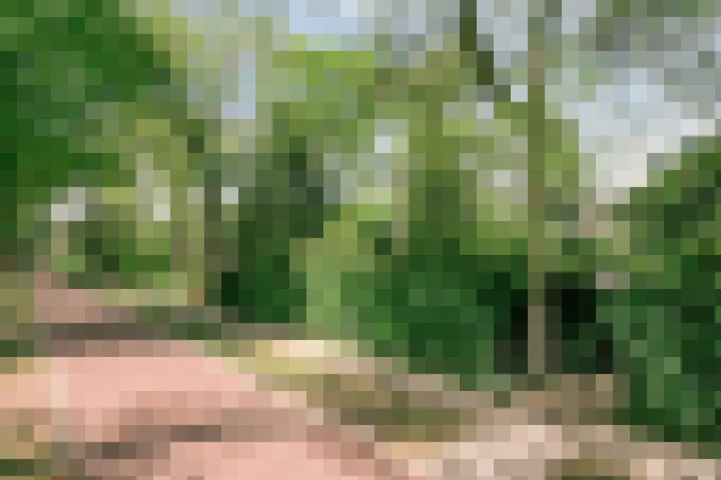 van Beuningenlaan 13 Soest thumbnail 71