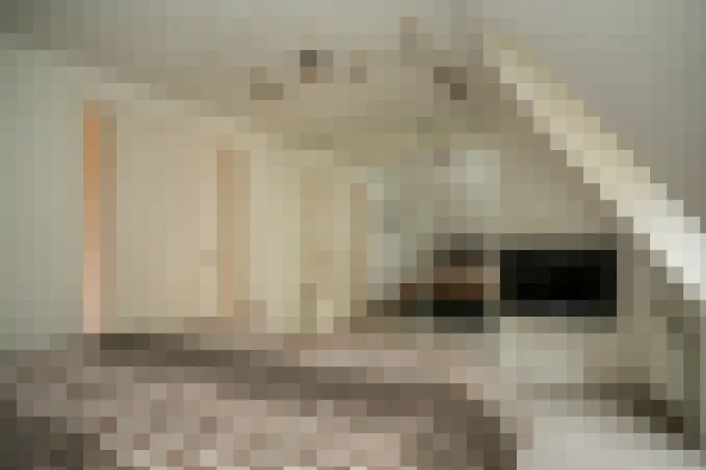 van Beuningenlaan 54 Maarsbergen thumbnail 18