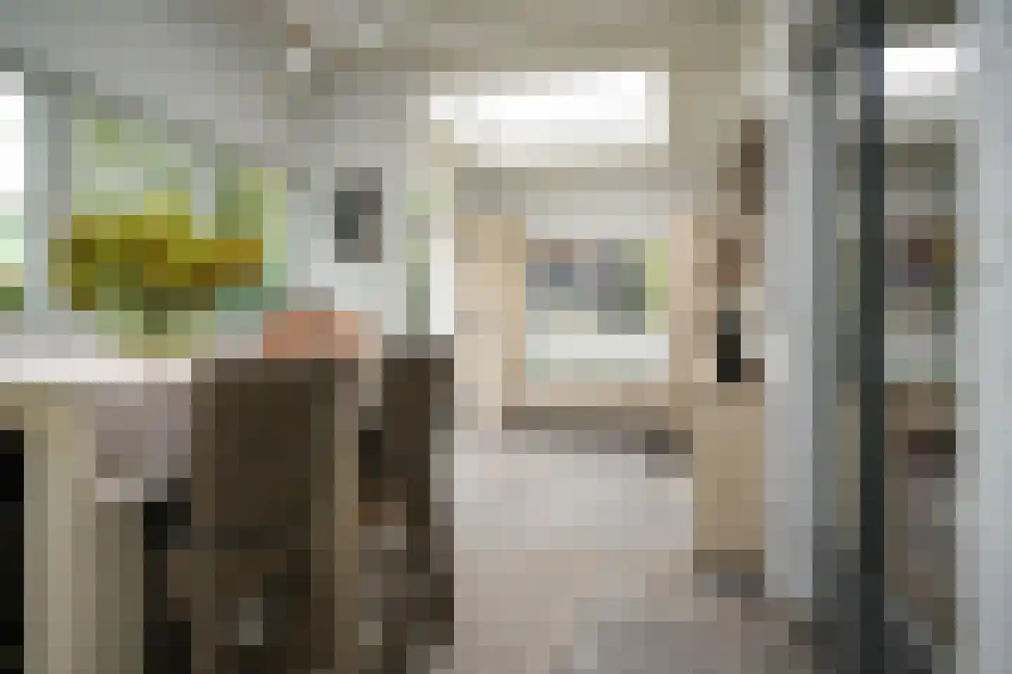 van Beuningenlaan 54 Maarsbergen thumbnail 28