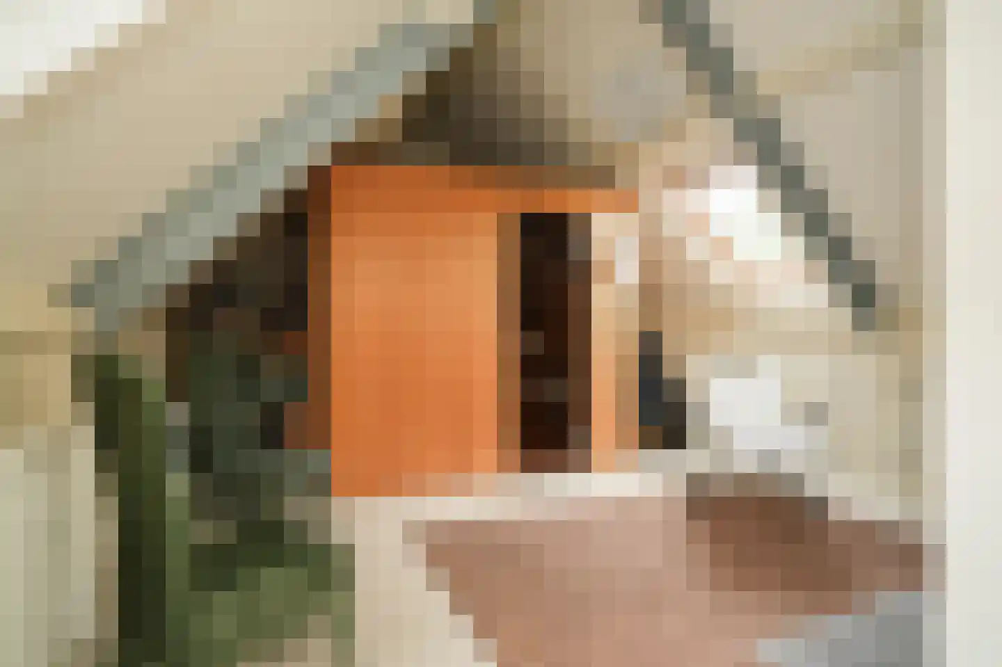 van Beuningenlaan 54 Maarsbergen thumbnail 43
