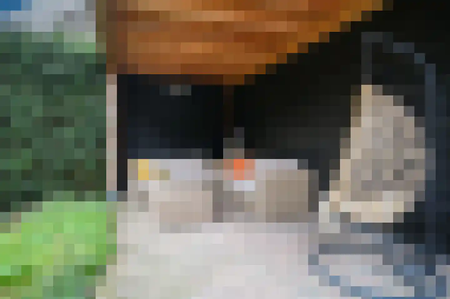 van Beuningenlaan 54 Maarsbergen thumbnail 49