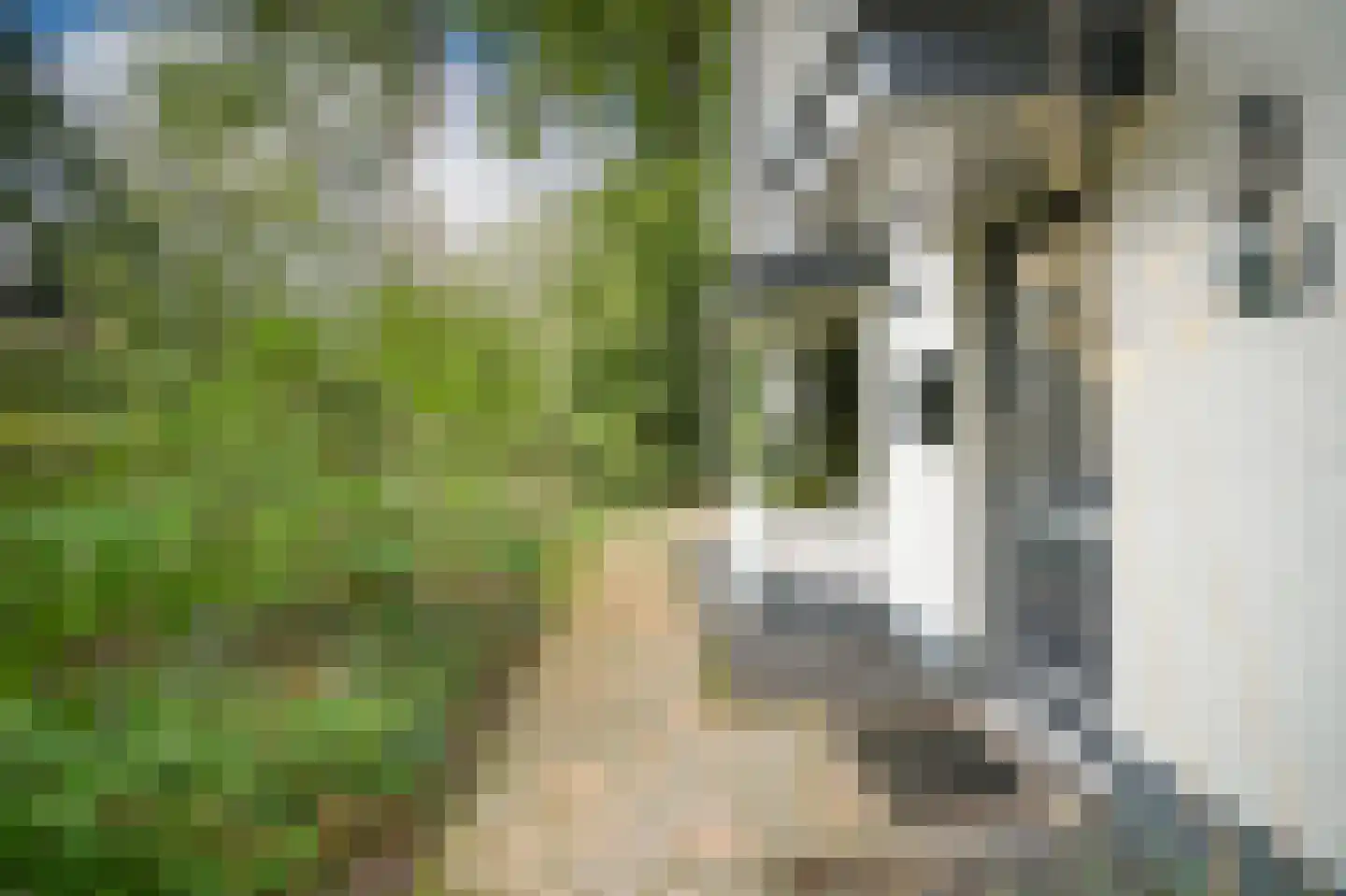 van Beuningenlaan 54 Maarsbergen thumbnail 53