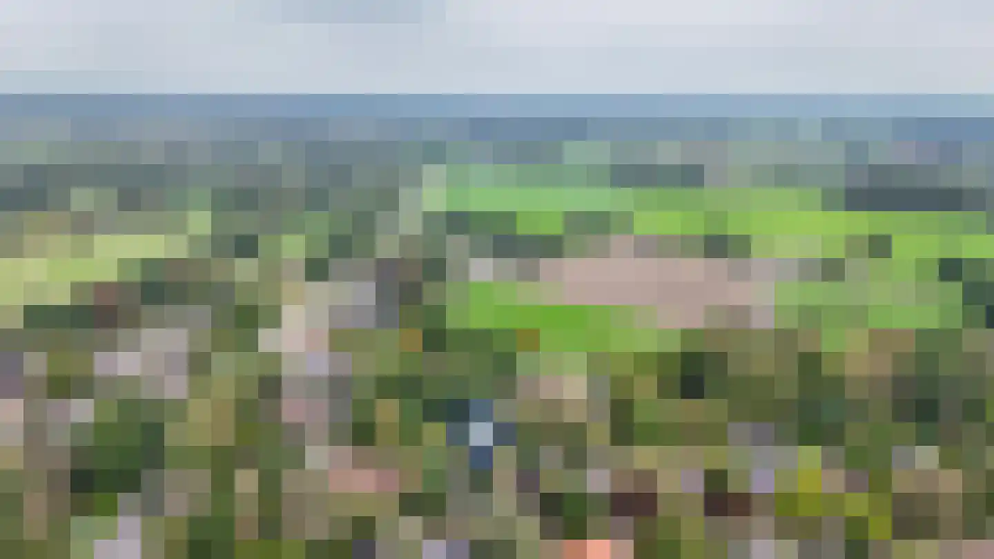 van Beuningenlaan 54 Maarsbergen thumbnail 58