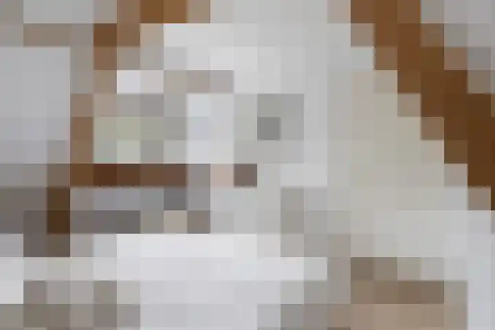 van Beuningenlaan 8 Soest thumbnail 22