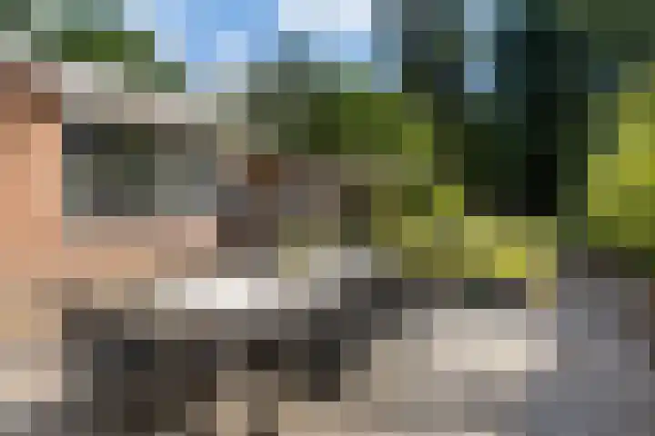 van Beuningenlaan 8 Soest thumbnail 24