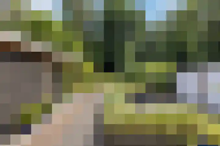 van Beuningenlaan 8 Soest thumbnail 25