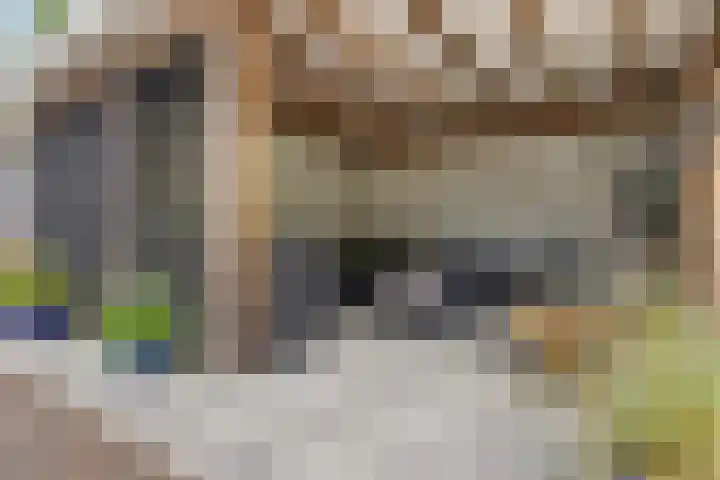 van Beuningenlaan 8 Soest thumbnail 26
