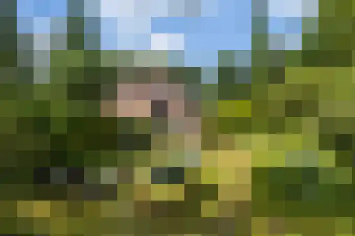van Beuningenlaan 8 Soest thumbnail 27