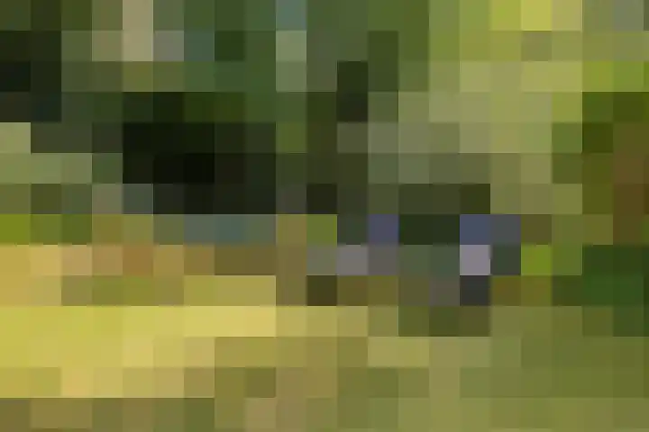van Beuningenlaan 8 Soest thumbnail 28