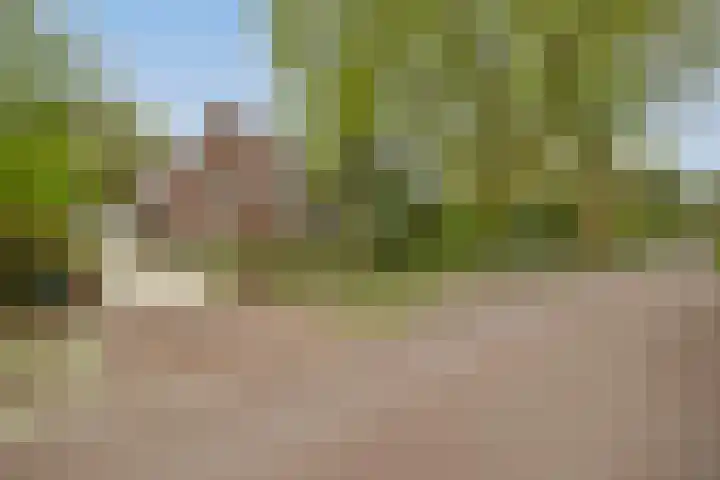 van Beuningenlaan 8 Soest thumbnail 29