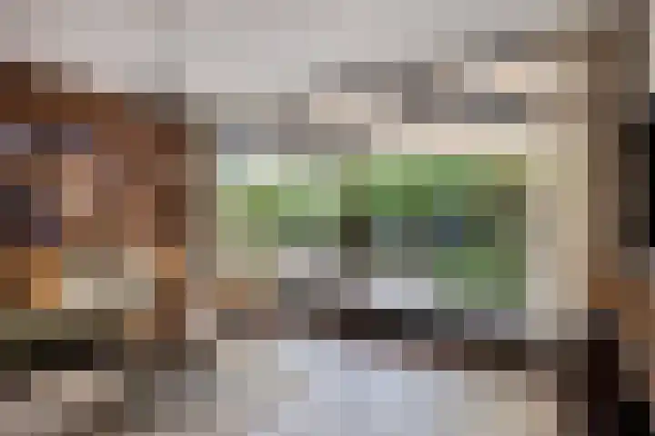 Van Beuningenplantsoen 7 Voorschoten thumbnail 11