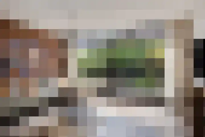 Van Beuningenplantsoen 7 Voorschoten thumbnail 12