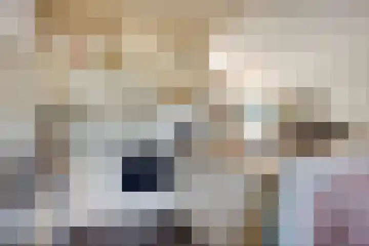 Van Beuningenplantsoen 7 Voorschoten thumbnail 22