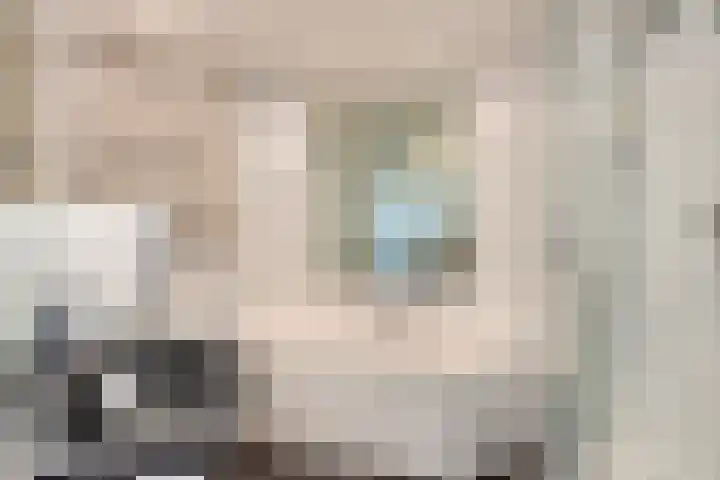 Van Beuningenplantsoen 7 Voorschoten thumbnail 30