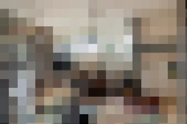 Van Beuningenplantsoen 7 Voorschoten thumbnail 37