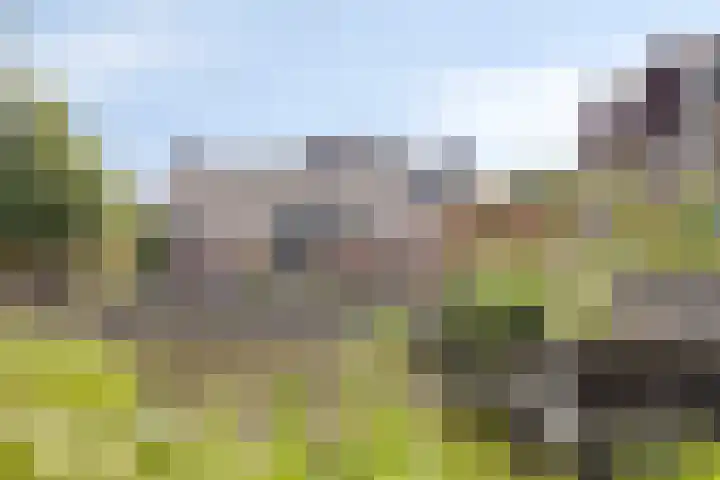 Van Beuningenplantsoen 7 Voorschoten thumbnail 4