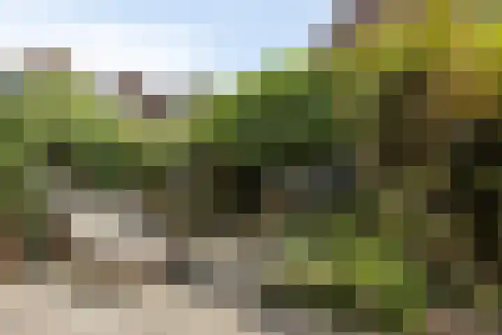 Van Beuningenplantsoen 7 Voorschoten thumbnail 42