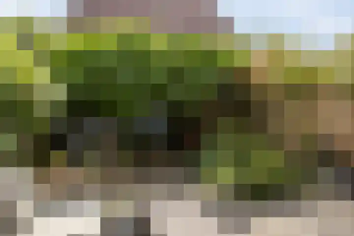 Van Beuningenplantsoen 7 Voorschoten thumbnail 43