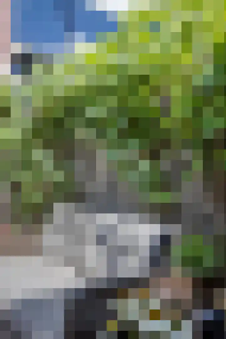 Van Beuningenplantsoen 7 Voorschoten thumbnail 45