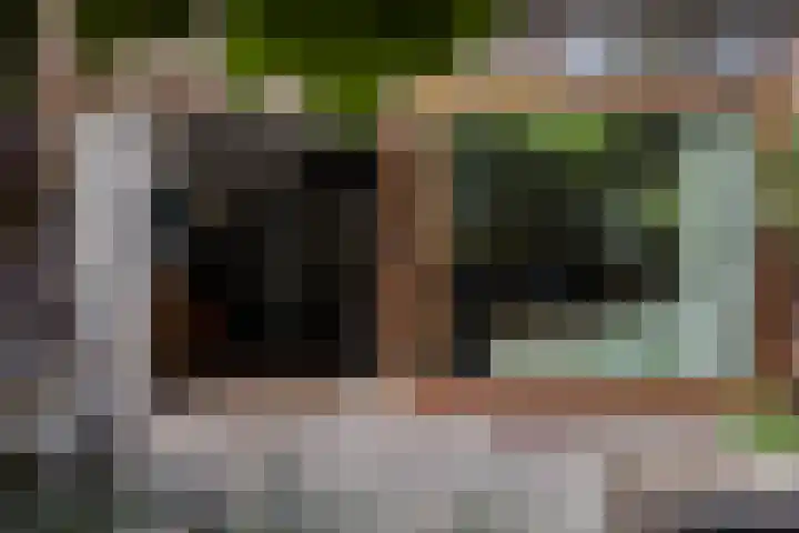 Van Beuningenplantsoen 7 Voorschoten thumbnail 46