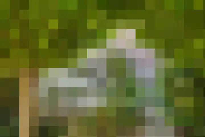 Van Beuningenplantsoen 7 Voorschoten thumbnail 47