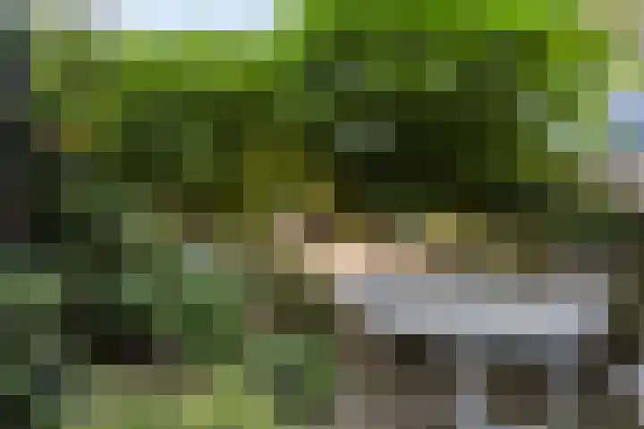 Van Beuningenplantsoen 7 Voorschoten thumbnail 48